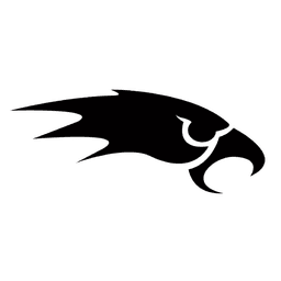 Merseyside Nighthawks badge