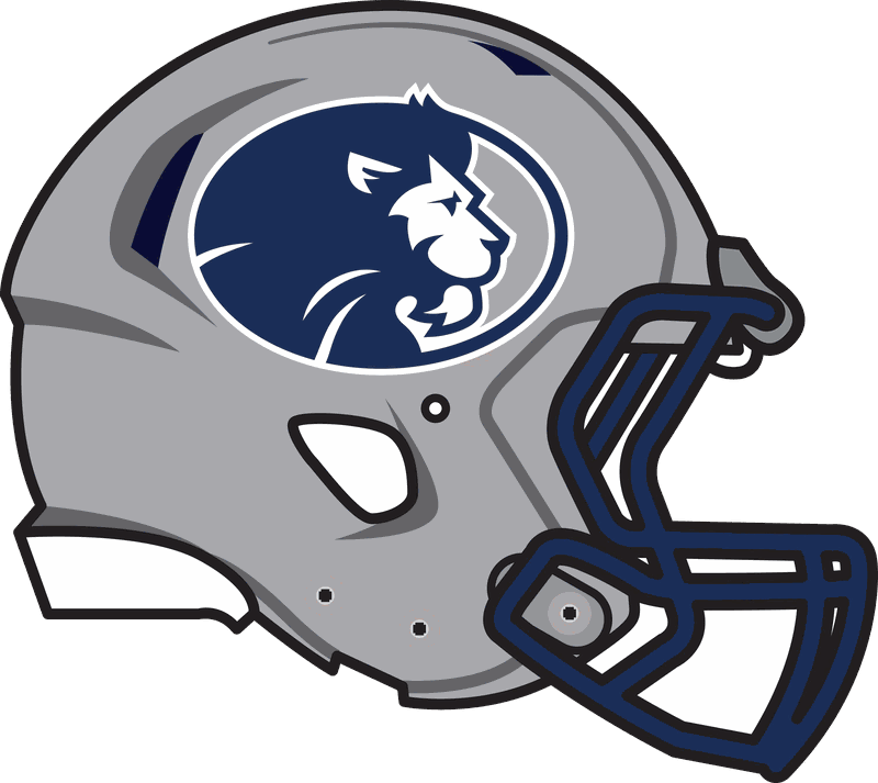 SGS Bristol PRiDE helmet